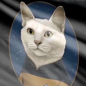 Meet your Posher, Kay